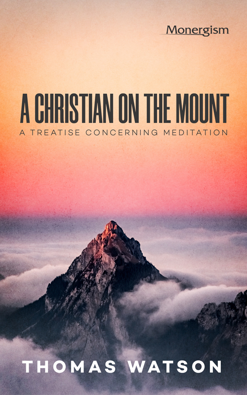 Cover of A Christian on the Mount by Thomas Watson