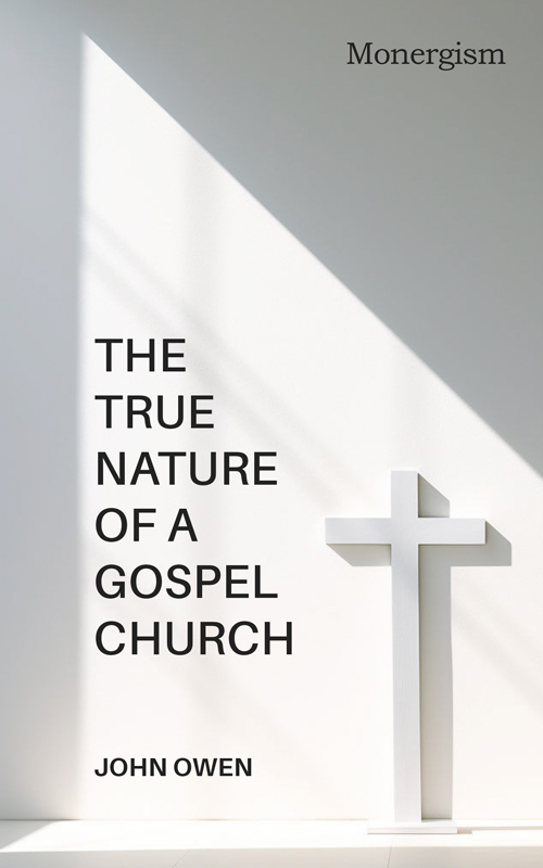 Cover of The True Nature of a Gospel Church by John Owen