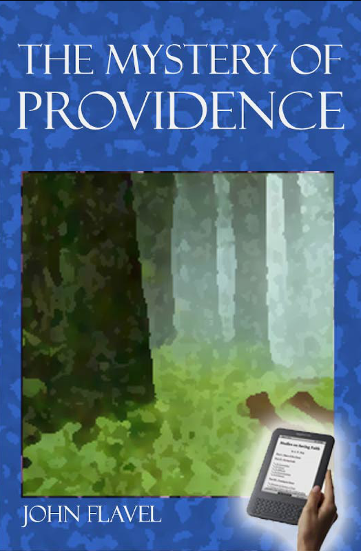 Cover of The Mystery of Providence by John Flavel